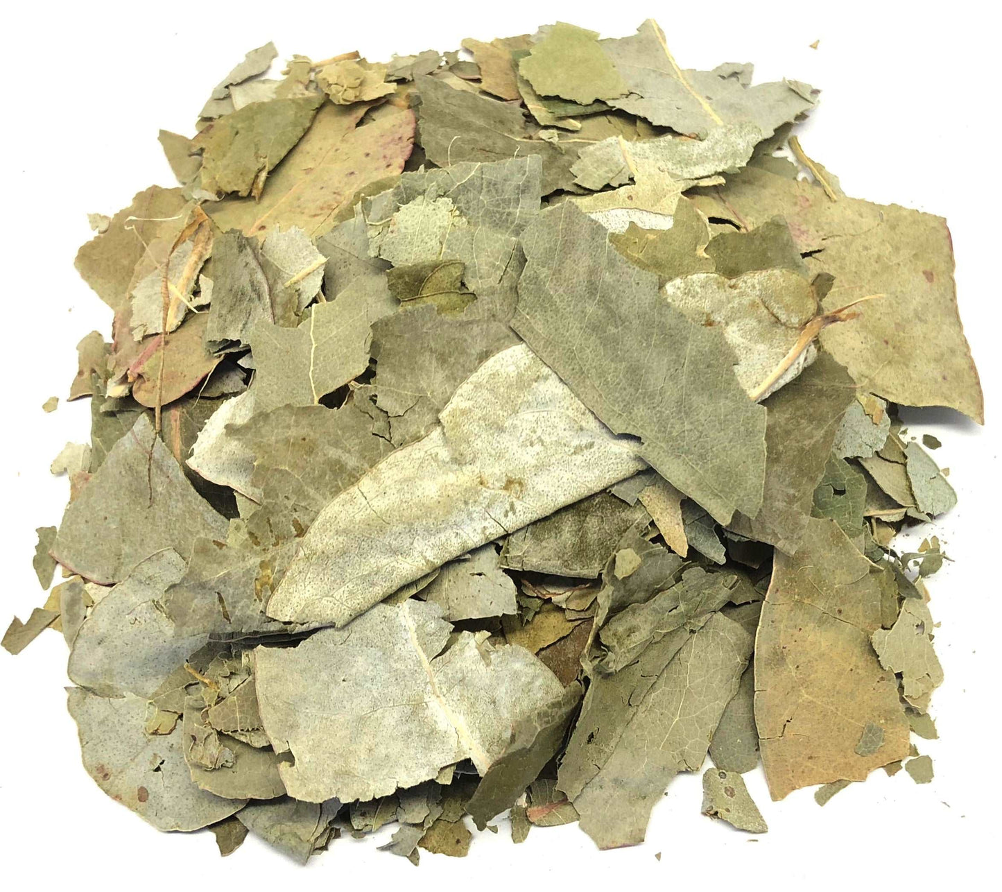  Hojas De Eucalipto Eucalyptus Loose Leaf Premium Herb Tea (50g) 1.76oz by Nuestra Salud sold by NS Herbs Co.