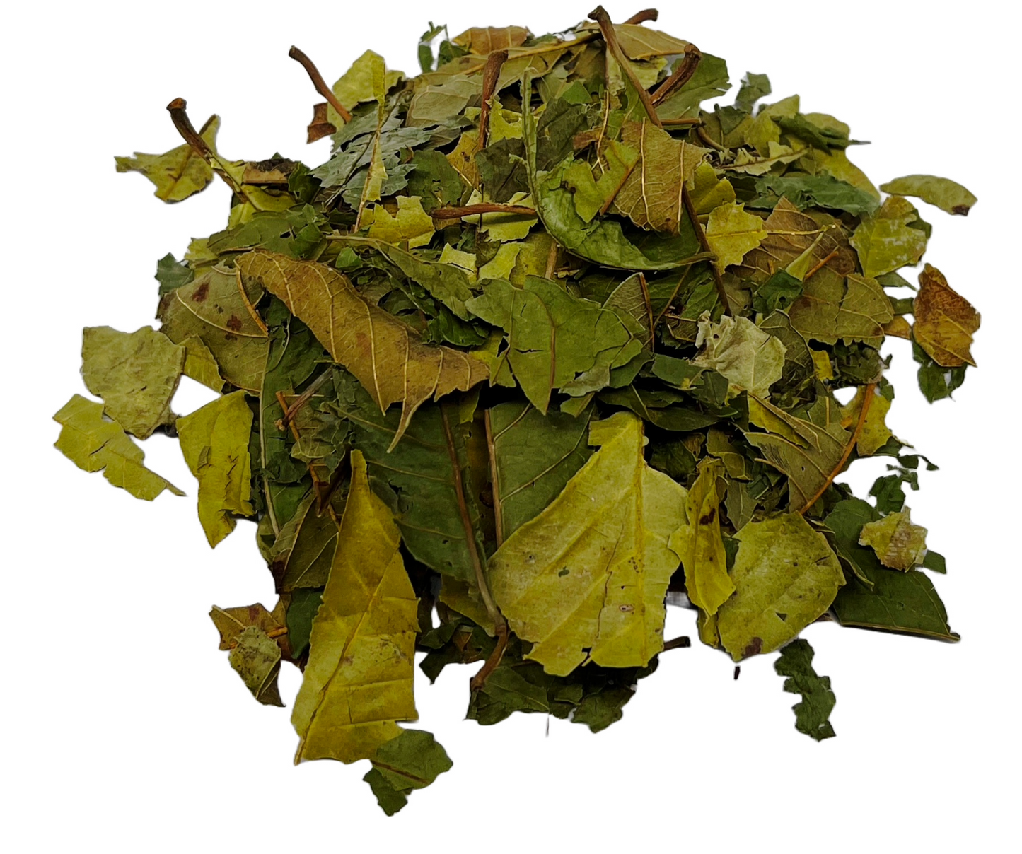 Guava Tea Leaves Hoas De Guayaba Herbal Infusion Tea Premium (35g)