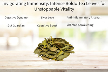 Boldo Tea Leaves Herbal Infusion Value Pack (90g) HQ Herb