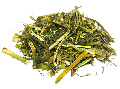 Fennel Tea Herbal Infusion Hinojo TE Value (60g) Premium Sliver Line