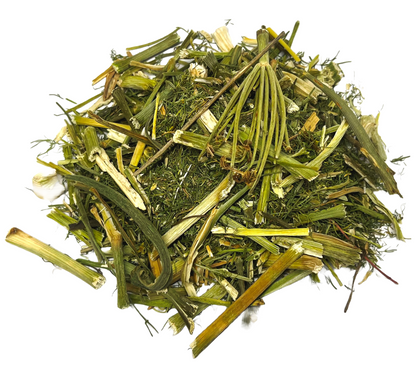 Fennel Tea Herbal Infusion Hinojo TE Value (60g) Premium Sliver Line