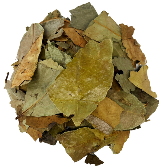 Soursop Leaves Tea - Herbal Tea - Value Pack (105g) Herb Boost Immune System - Hojas De Guanabana Nuestra Salud